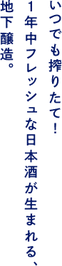 いつでも搾りたて！1年中フレッシュな日本酒が生まれる、地下醸造。